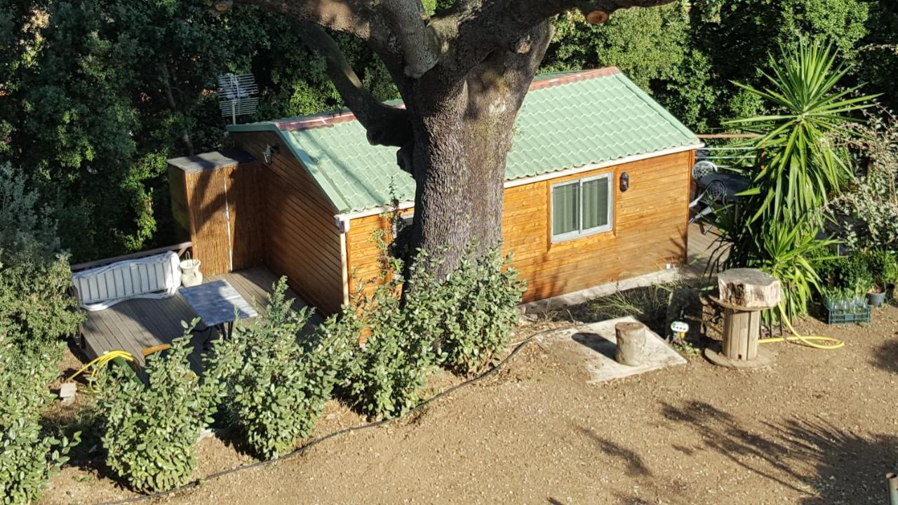 Le Petit Chalet Porticcio  Dış mekan fotoğraf